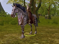 ���������꡼ No.003�Υ���ͥ������ / ��R.O.H.A.N�ס������ƥ�⡼���BIG5�ɤΥ���󥹥����ƥब�쿷