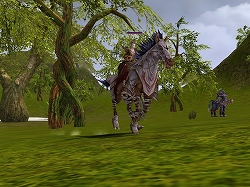 ���������꡼ No.004�Υ���ͥ������ / ��R.O.H.A.N�ס������ƥ�⡼���BIG5�ɤΥ���󥹥����ƥब�쿷