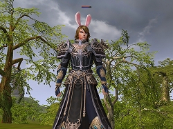 ���������꡼ No.005�Υ���ͥ������ / ��R.O.H.A.N�ס������ƥ�⡼���BIG5�ɤΥ���󥹥����ƥब�쿷