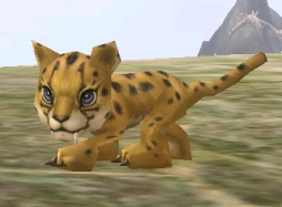 ꡼ No.006 | ֿR.O.H.A.Nפ11110ǯǰ٥Ȥ