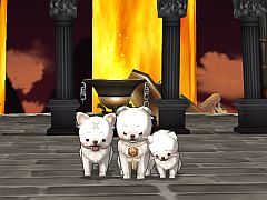 ���������꡼ No.019�Υ���ͥ������ / �֥��ߥ롦�����˥��롦����饤��ס���ǯ�Ⳬ�š�ECO��2011�λ��ü��罸��