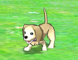 ���������꡼ No.007�Υ���ͥ������ / ��ECO�ס��˥��Ų�Ϣư�ǥ����ˡ����饹���罸������Po!�Ǻ����Υޥ󥬤��罸