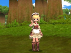 ���������꡼ No.003�Υ���ͥ������ / �֥��ߥ롦�����˥��롦����饤��ס������ECO�����ϡֿ������Ƹ�áפ��ơ���