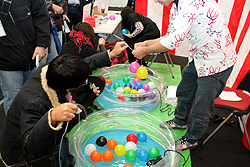 ꡼ No.049Υͥ / ECO6ǯǰECO2011פšSAGA16פΤߤʤ餺SAGA17פξ