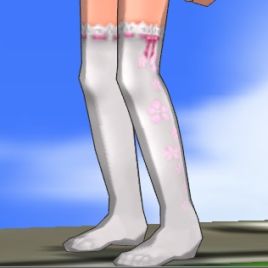 ���������꡼ No.007�Υ���ͥ������ / ��ECO�ס��ڥåȤ������������륭���ڡ���ʤɤΡֽդκ�ŵ2012�פ򳫺�