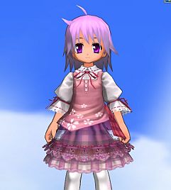 ���������꡼ No.008�Υ���ͥ������ / ��ECO�ס��ڥåȤ������������륭���ڡ���ʤɤΡֽդκ�ŵ2012�פ򳫺�