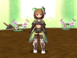 ꡼ No.010Υͥ / ECO׼⡦ĥΥϡȥᥤȤ뤯ȯ