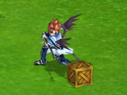 ꡼ No.008Υͥ / ECOפΥ󥸥֥ǥåɤξפиͤ823ޤ2ܤ