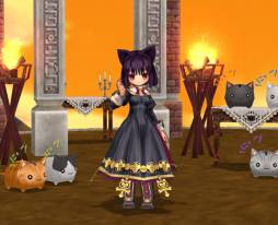 ꡼ No.009 | ECOץ꡼󥷥åȥƥ1饦2󤬳šʤ罸