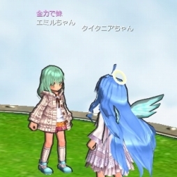 ꡼ No.009 | ECOס˥륢åץǡȡַפ1ơǤβפ