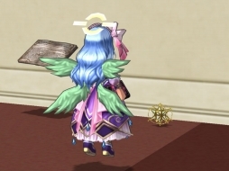 ꡼ No.013 | ECOס˥륢åץǡȡַפ1ơǤβפ