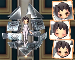 ꡼ No.006 | ECOסECOɥ꡼ࡦȡ꡼꡼֥ǥåɾ̩פȯ