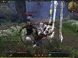 画像集#046のサムネイル/「Age of Conan:Hyborian Adventures」のPvP Beta Weekendを通じて感じた,本作の「野蛮な魅力」とは?