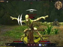 画像集#002のサムネイル/「Age of Conan」,新コンテンツ追加を含む今後の計画を明らかに