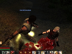 画像集#006のサムネイル/「Age of Conan」プレイレポートその2:興味深い戦闘システムと,Hyboria本土での冒険について紹介