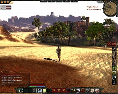 画像集#026のサムネイル/「Age of Conan」プレイレポートその2:興味深い戦闘システムと,Hyboria本土での冒険について紹介