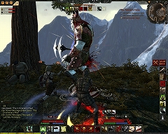 画像集#003のサムネイル/「Age of Conan」プレイレポートその4:MMORPGジャンルにおけるAoCの特徴と立ち位置。そして今後の課題について