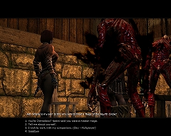 画像集#017のサムネイル/「Age of Conan」プレイレポートその4:MMORPGジャンルにおけるAoCの特徴と立ち位置。そして今後の課題について