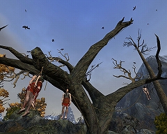 画像集#018のサムネイル/「Age of Conan」プレイレポートその4:MMORPGジャンルにおけるAoCの特徴と立ち位置。そして今後の課題について