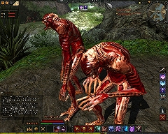 画像集#024のサムネイル/「Age of Conan」プレイレポートその4:MMORPGジャンルにおけるAoCの特徴と立ち位置。そして今後の課題について