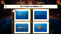 常識力 全国頂上決戦ー真の常識王は誰だ！？ー