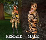 画像ギャラリー No.011のサムネイル画像 / 「カーディナル・サーガ」ハロウィンパーティ開始&アップデート実施