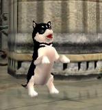 ���������꡼ No.004�Υ���ͥ������ / ��RAN ONLINE��RAN�������ץ쥤����ȥ���������館��W�����