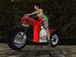 画像ギャラリー No.017のサムネイル画像 / 「RAN ONLINE」,バイク用の新カスタムパーツは性能の高さもウリ