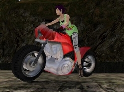 画像ギャラリー No.019のサムネイル画像 / 「RAN ONLINE」,バイク用の新カスタムパーツは性能の高さもウリ