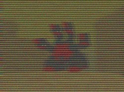 ���������꡼ No.007�Υ���ͥ������ / ��C21�סȥ����ȥ����ë�ϲ��ɤ���ĥ���Ǳ��ˤϿ����ʥܥ��λѤ�