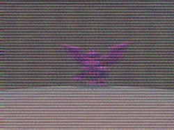 ���������꡼ No.008�Υ���ͥ������ / ��C21�סȥ����ȥ����ë�ϲ��ɤ���ĥ���Ǳ��ˤϿ����ʥܥ��λѤ�