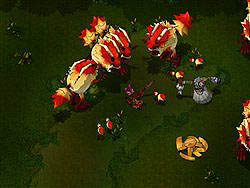 ������#002�Υ���ͥ���/�֥�˥��ﵭ�׹�����7���ơ�������ʤ�ֳ������ԥ�����1�׼����ʤ��緿���åץǡ��Ȥ�»�