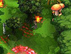 ������#006�Υ���ͥ���/�֥�˥��ﵭ�׹�����7���ơ�������ʤ�ֳ������ԥ�����1�׼����ʤ��緿���åץǡ��Ȥ�»�