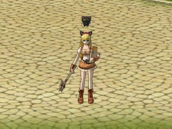 ꡼ No.005 | ֥˥ﵭס3ǯǰƥ䥰åץ쥼