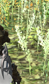 Dynamic Super Resolution を試す ディスプレイ解像度を超えた精細感をゲームにもたらす という新機能は使えるのか