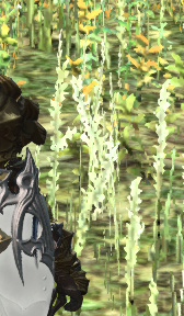 Dynamic Super Resolution を試す ディスプレイ解像度を超えた精細感をゲームにもたらす という新機能は使えるのか