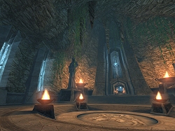 ꡼ No.007Υͥ / ֥ڥܡ׸ȤǡĤħ/ȡ꡼/ɥޥå׾󤬸