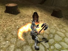 ꡼ No.005Υͥ / MMORPG֥ڥܡסȼΥ饯ӥ奢CBTפо줹륹롤󥹥ξ