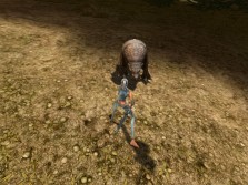 ꡼ No.007Υͥ / MMORPG֥ڥܡסȼΥ饯ӥ奢CBTפо줹륹롤󥹥ξ