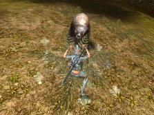 ꡼ No.011Υͥ / MMORPG֥ڥܡסȼΥ饯ӥ奢CBTפо줹륹롤󥹥ξ