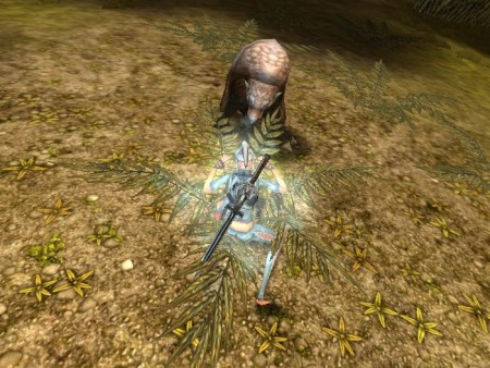 ꡼ No.012Υͥ / MMORPG֥ڥܡסȼΥ饯ӥ奢CBTפо줹륹롤󥹥ξ