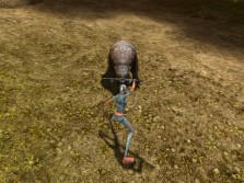 ꡼ No.019Υͥ / MMORPG֥ڥܡסȼΥ饯ӥ奢CBTפо줹륹롤󥹥ξ