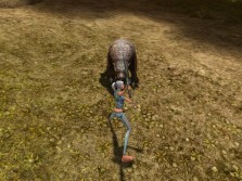 ꡼ No.020Υͥ / MMORPG֥ڥܡסȼΥ饯ӥ奢CBTפо줹륹롤󥹥ξ