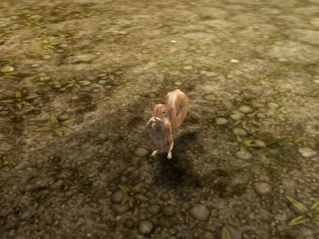 ꡼ No.030Υͥ / MMORPG֥ڥܡסȼΥ饯ӥ奢CBTפо줹륹롤󥹥ξ