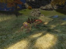 ꡼ No.005Υͥ / ֥ڥܡ׸߼»CBT̵³ξե󥵥Ͽդꥹ