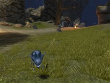 ꡼ No.006Υͥ / ֥ڥܡ׸߼»CBT̵³ξե󥵥Ͽդꥹ