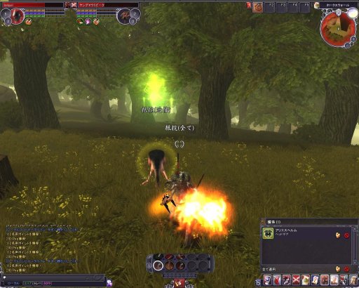 ꡼ No.018 | PRۻ¿ʥƥबܤüMMORPG֥ڥܡספŰ