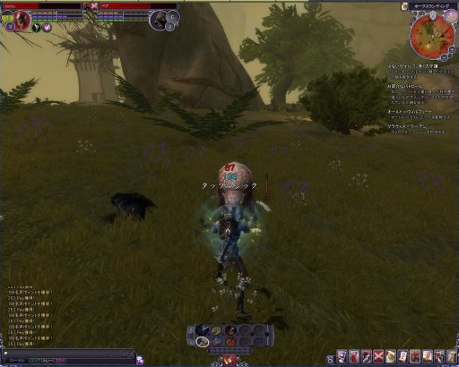 ꡼ No.026 | PRۻ¿ʥƥबܤüMMORPG֥ڥܡספŰ