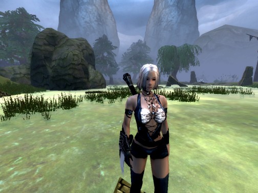 ꡼ No.002 | CBT̵³MMORPG֥ڥܡסOBTظƤCBTŵɲȯɽ