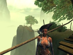 ꡼ No.003 | CBT̵³MMORPG֥ڥܡסOBTظƤCBTŵɲȯɽ